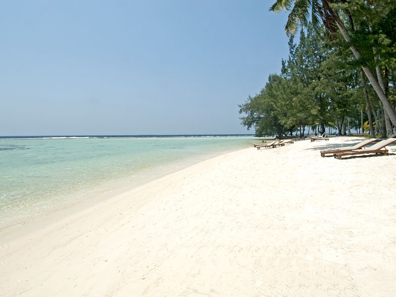 Kura Kura Eastern Beach Indonesia