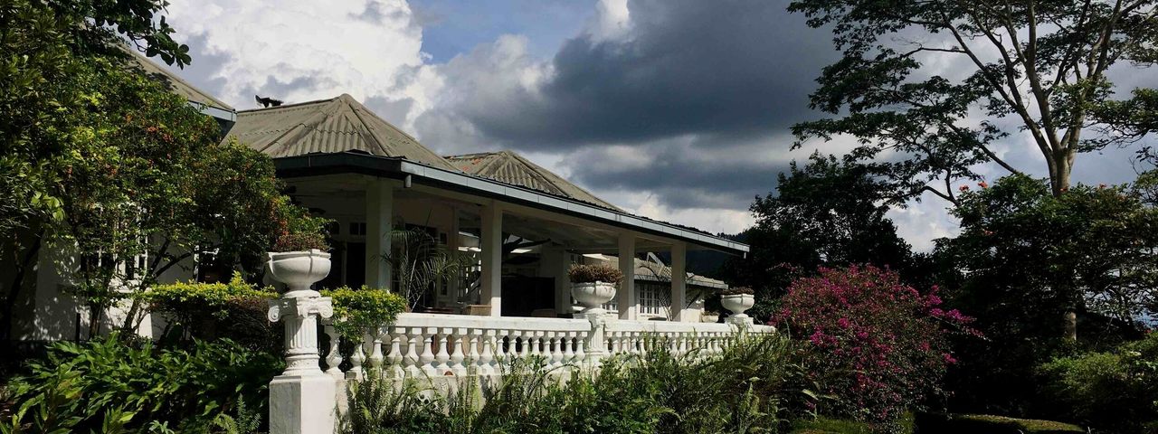 Ashburnham Estate
