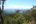 a view of a forest and mountains
