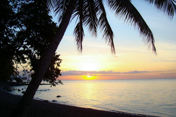 Amanwana