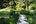 Path through well tended garden in Japan