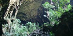 Mulu caves