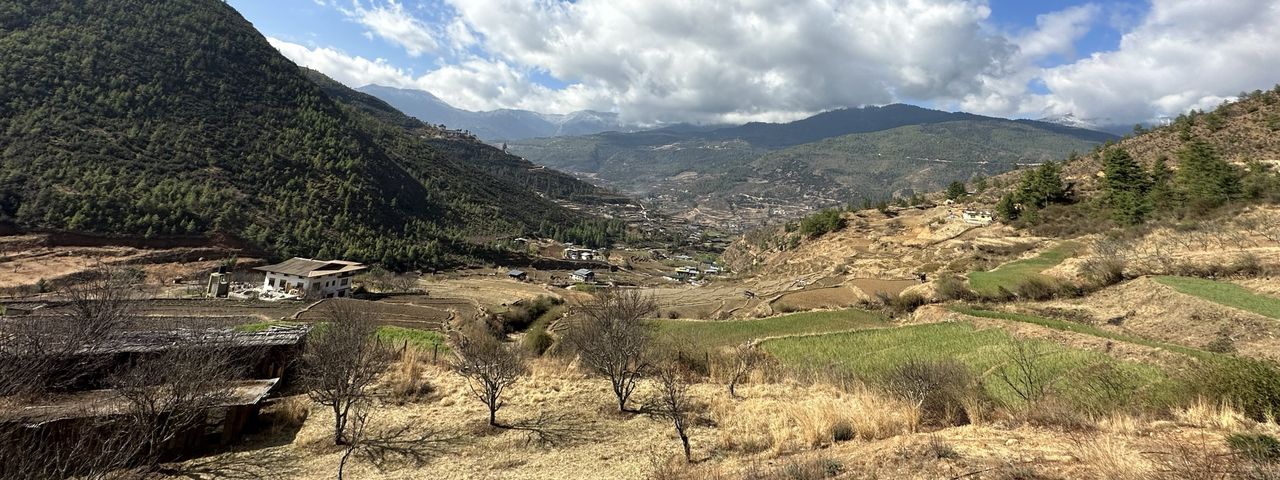 Paro