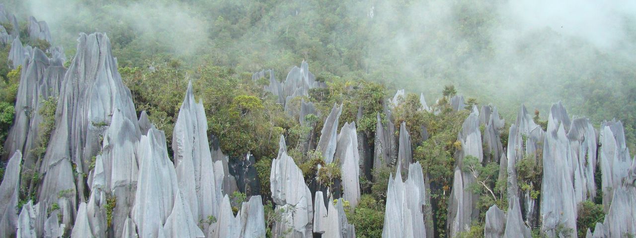 Mulu