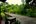 Boardwalk at Kinabatangan Wetlands Resort