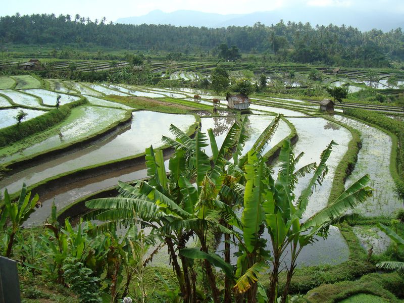 Ubud Bali Indonesia