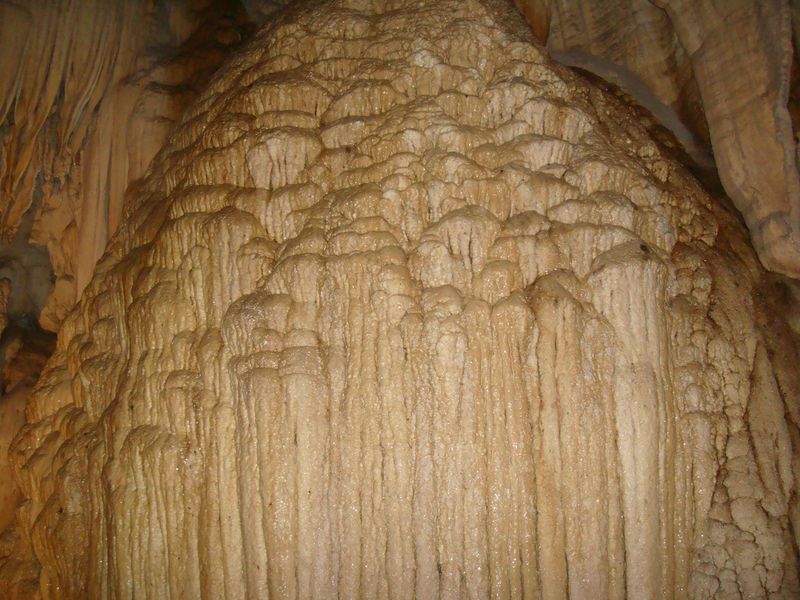 Mulu Caves