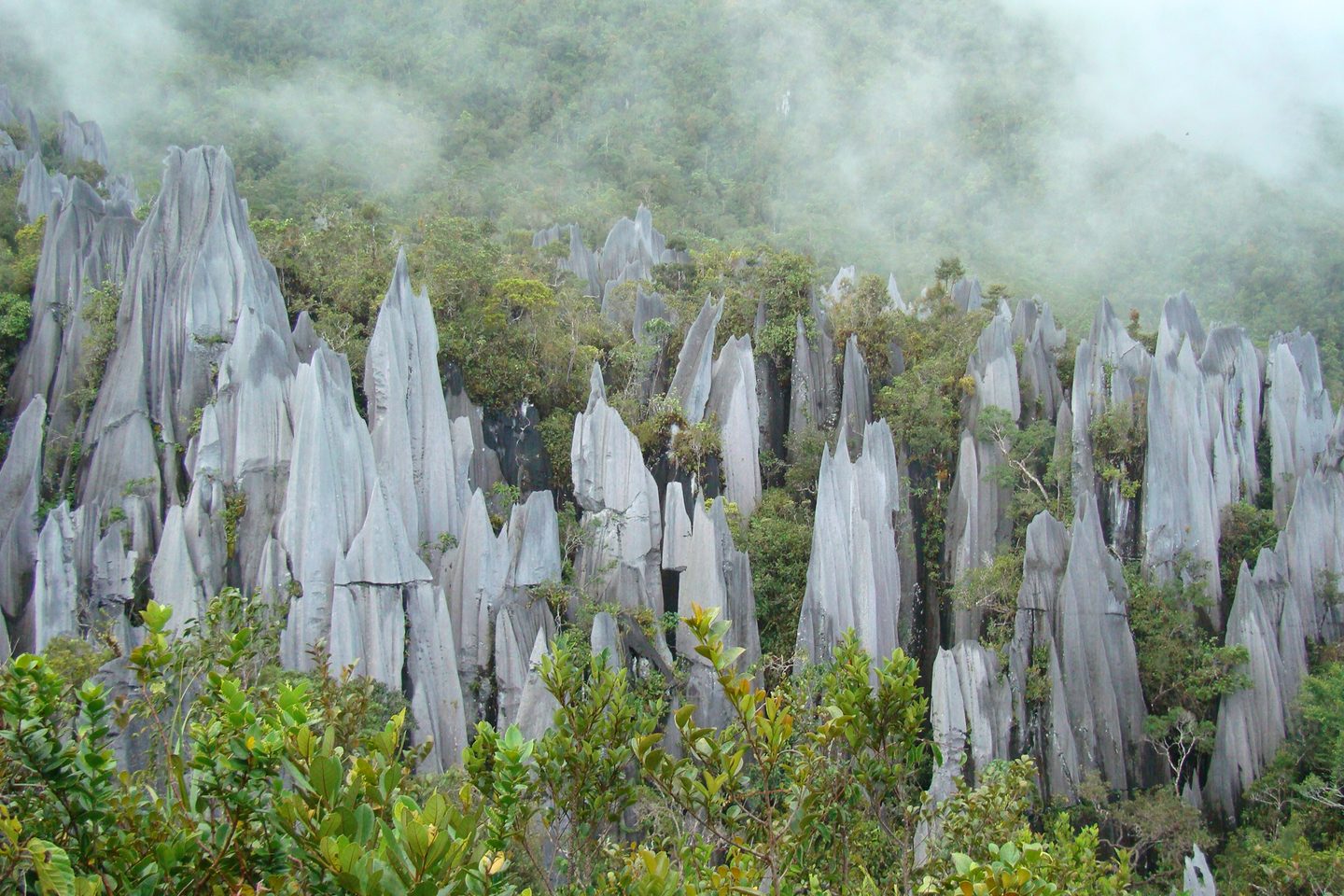Gunung Mulu National Park