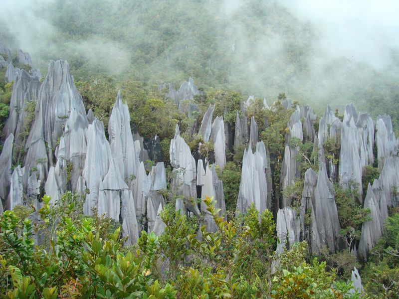 Gunung Mulu National Park