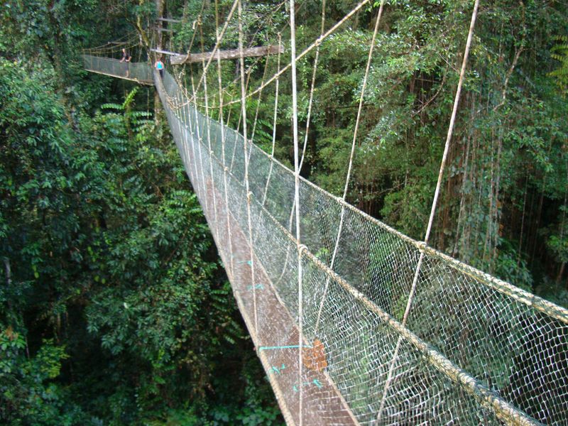 Gunung Mulu National Park