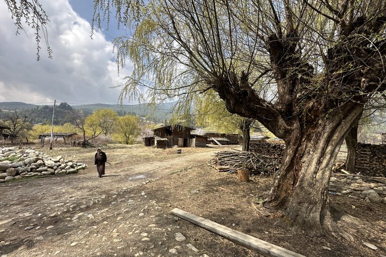 monks in a pickup truck, Bhuatn
