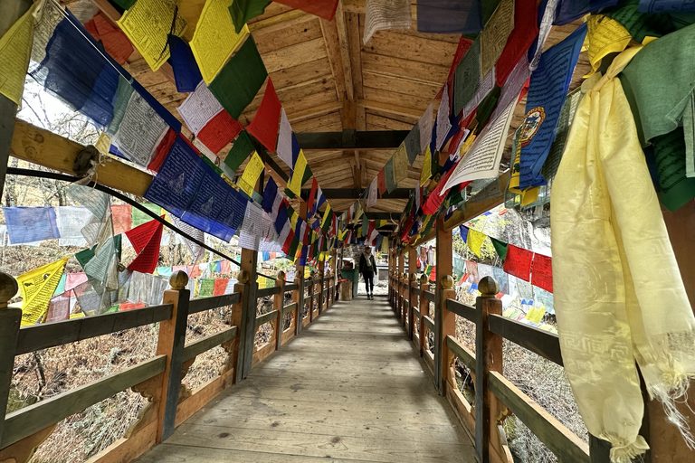 monks in a pickup truck, Bhuatn