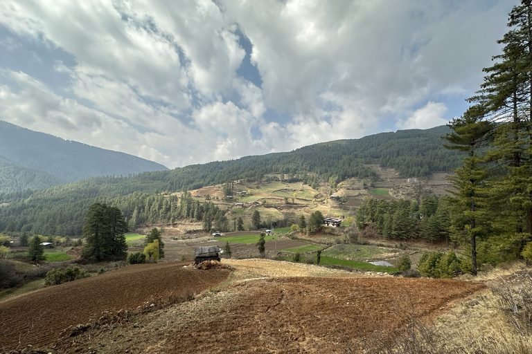 monks in a pickup truck, Bhuatn