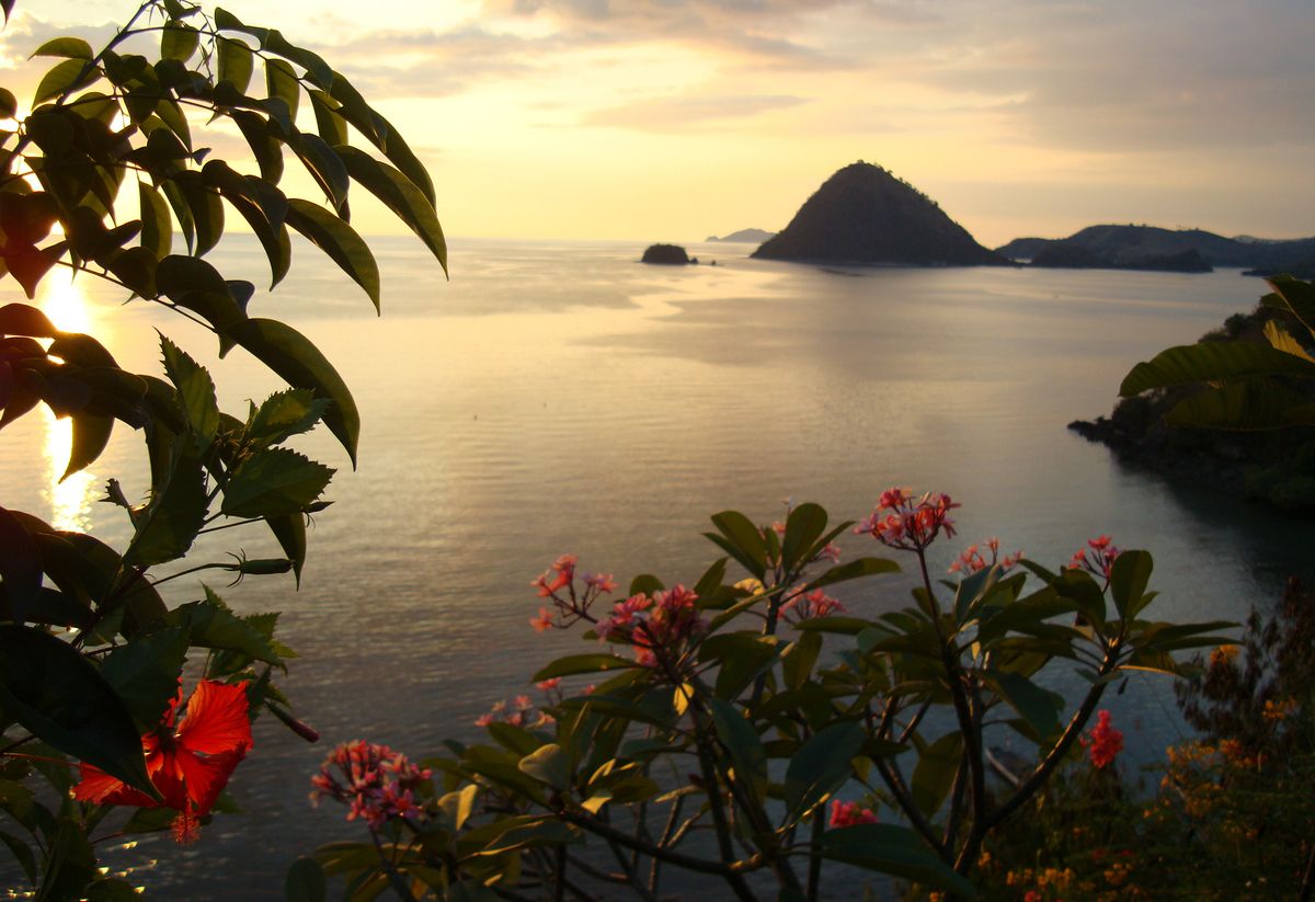 Stunning views wellness retreat in Indonesia