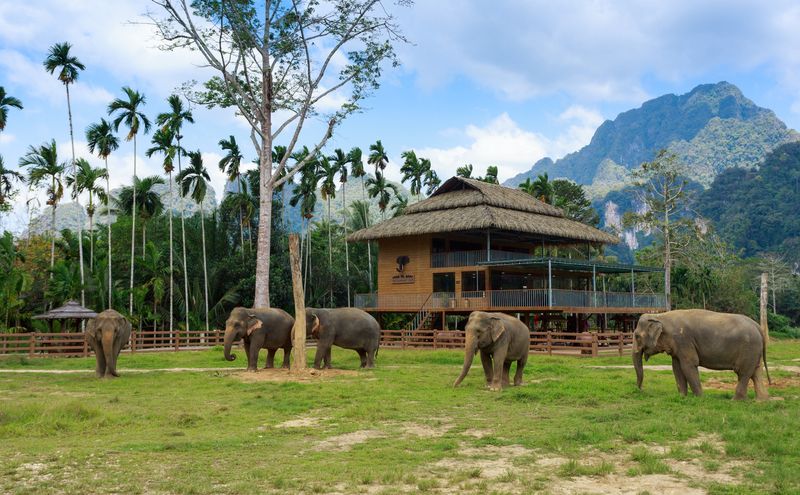 Elephant Hills
