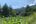 a green field with trees and a building in the background