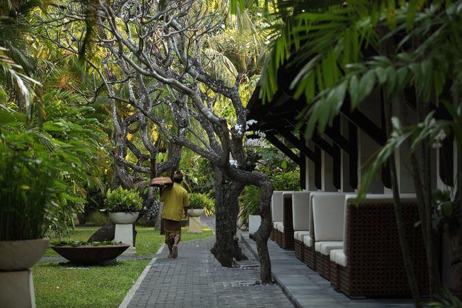 Tranquil gardens