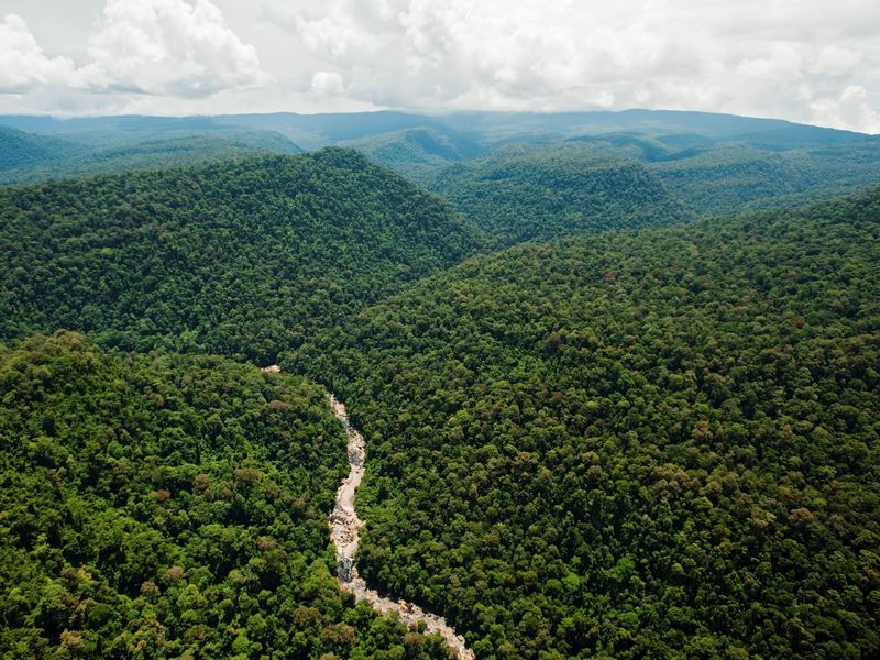 Maliau Basin