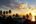 a group of palm trees and buildings in front of a sunset