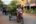 a man riding a motorcycle with a cart full of plants