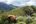 a cow grazing on a mountain