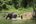 Mahoot bathing an elephant at ECC Laos