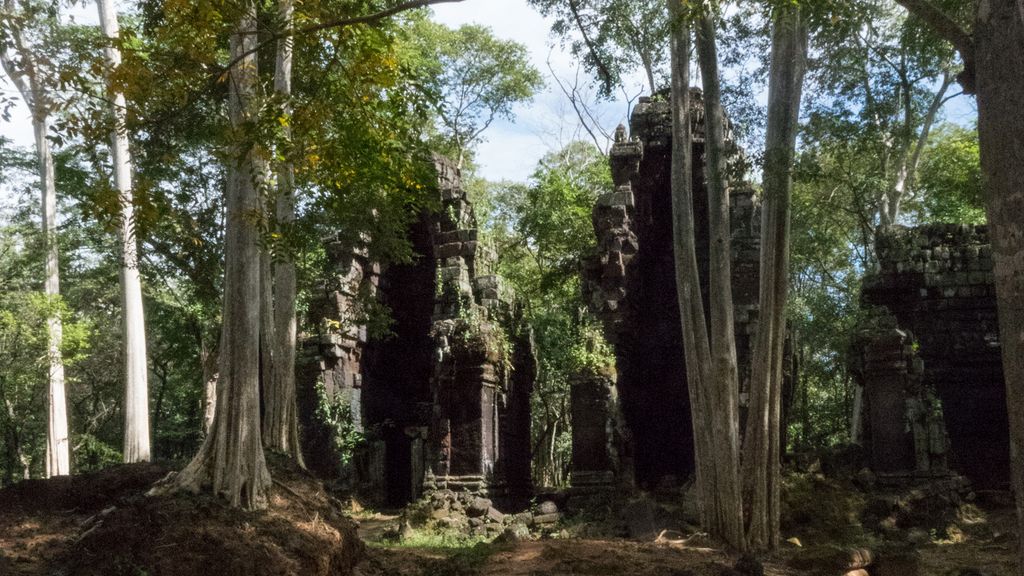 Temples in the woods