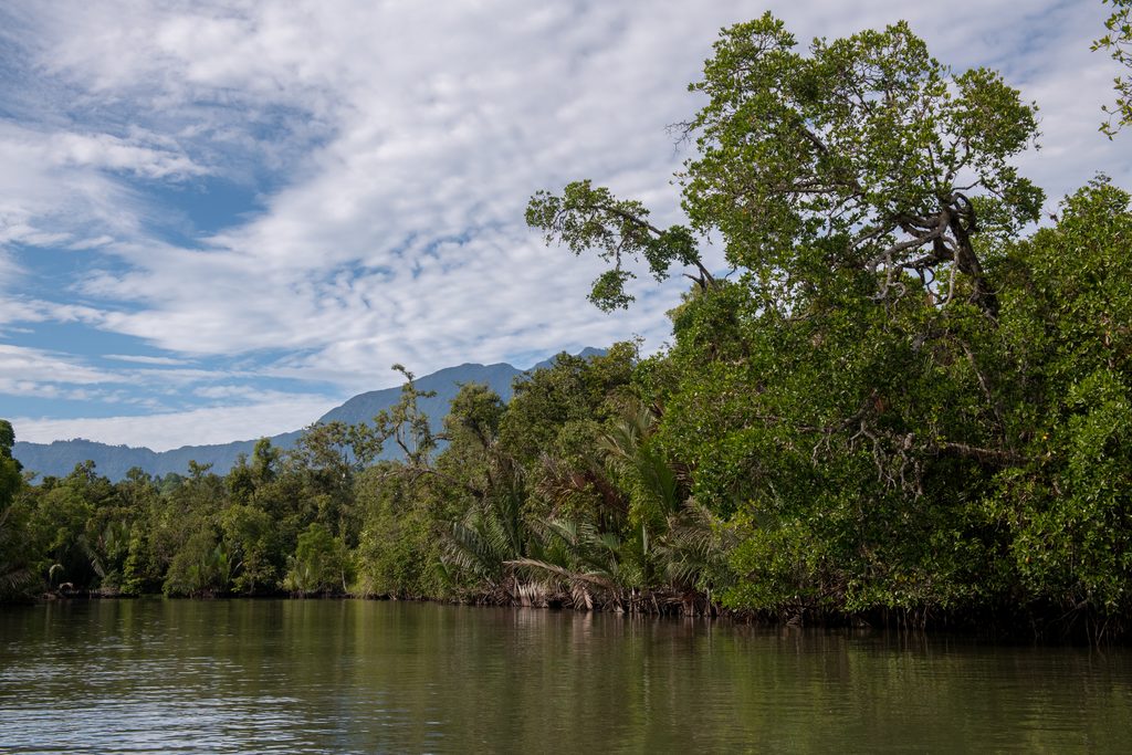 Moluccas islands Indonesia