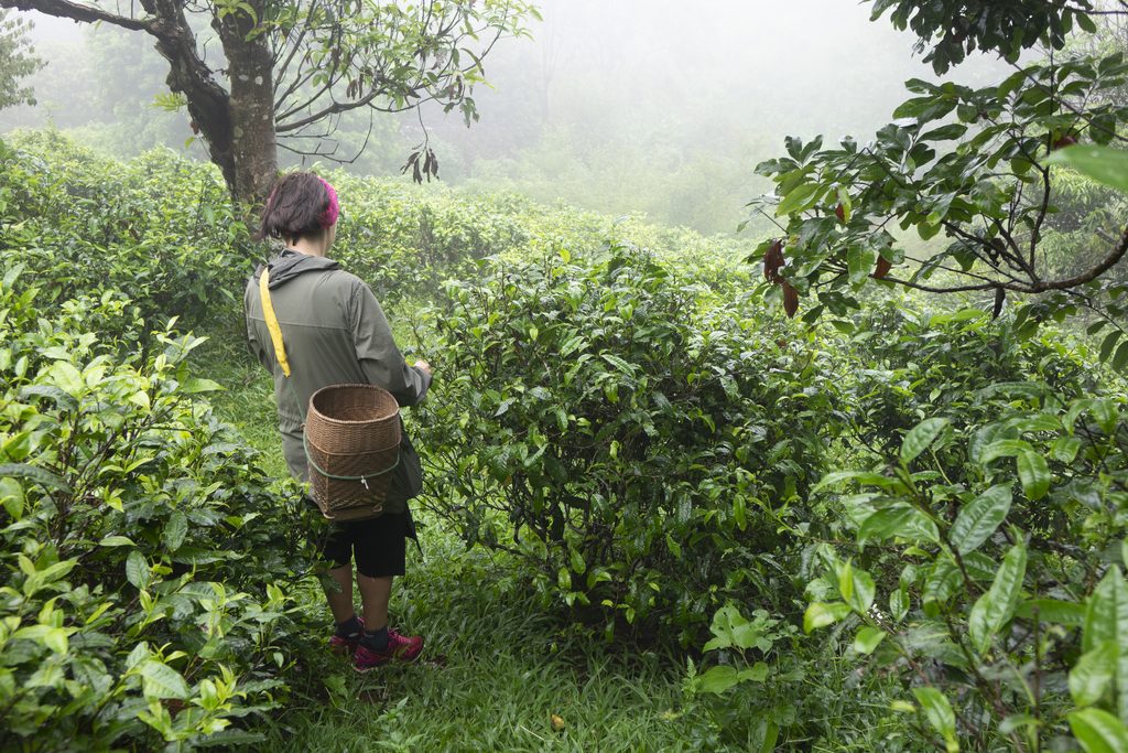 Kate in Fang, Thailand