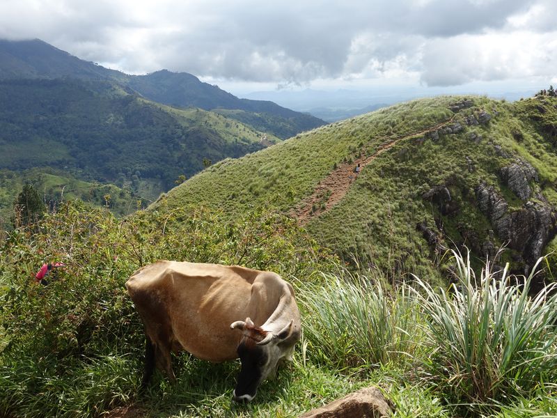 Adam’s Peak
