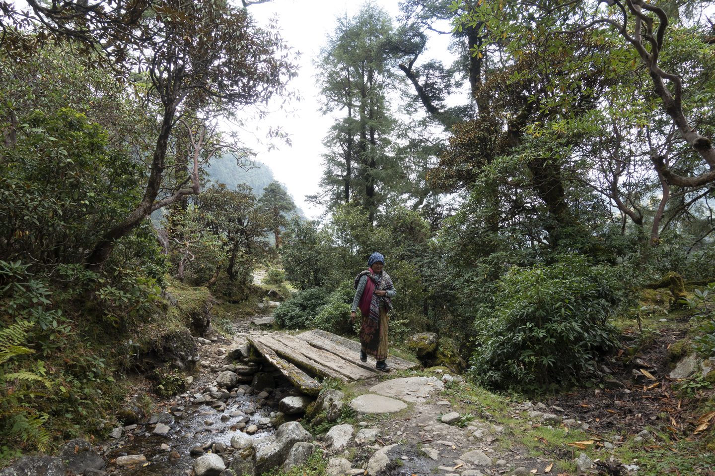 Trekking in Nepal