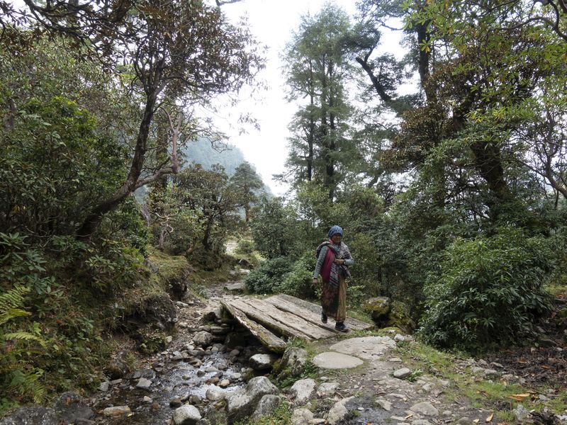Trekking in Nepal
