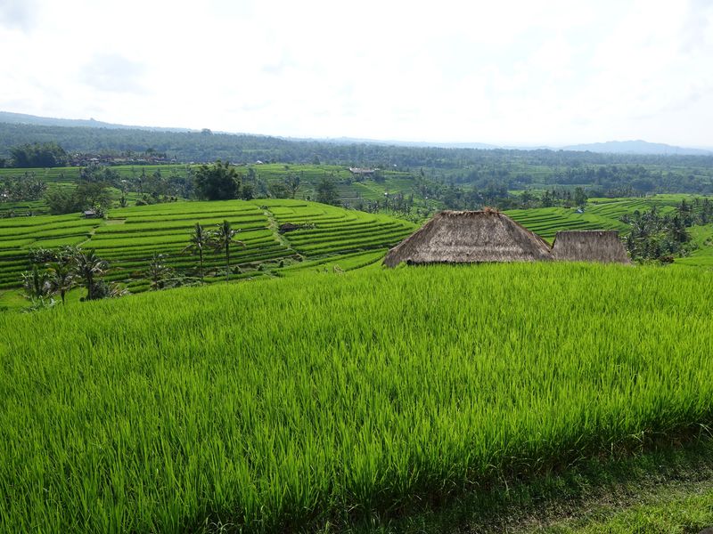 Bali, Indonesia