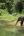 people watching elephants from a safe distance