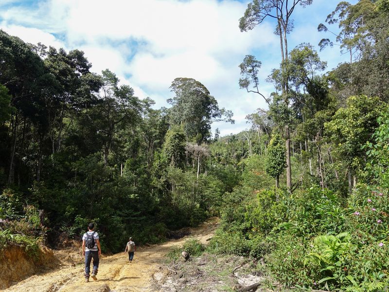 Kelabit Highlands