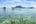 Island Borneo