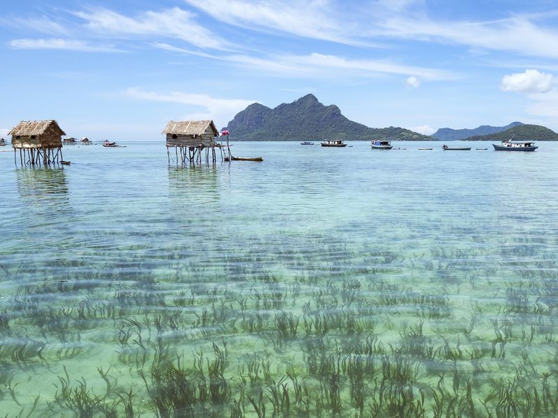 Island Borneo