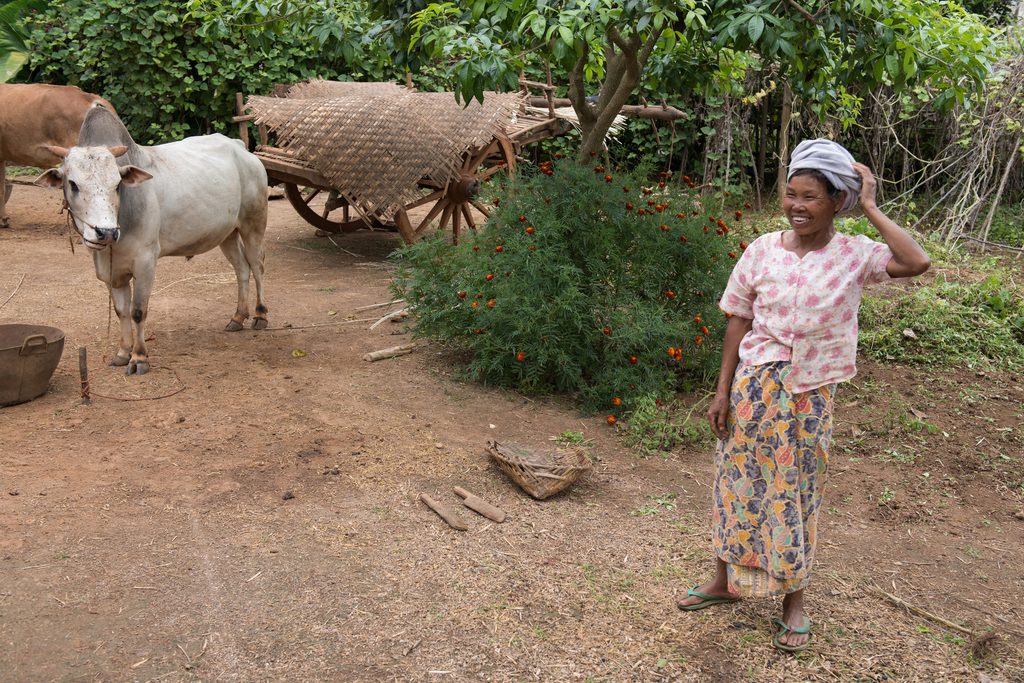 Lady in rural myanmar