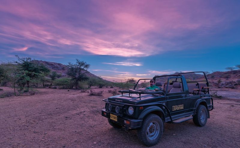 Morning jeep safari