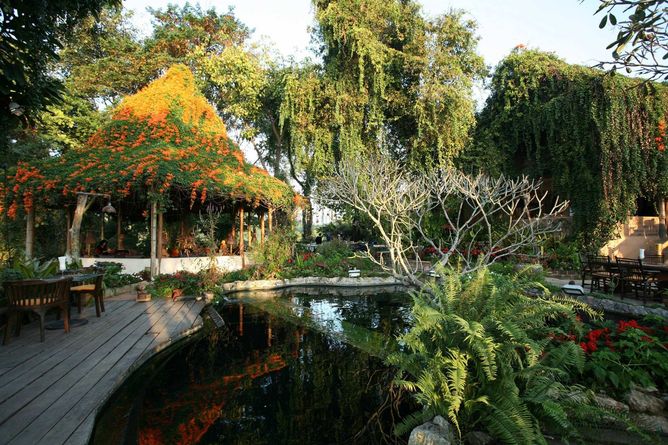 Restaurant by the Koi pond
