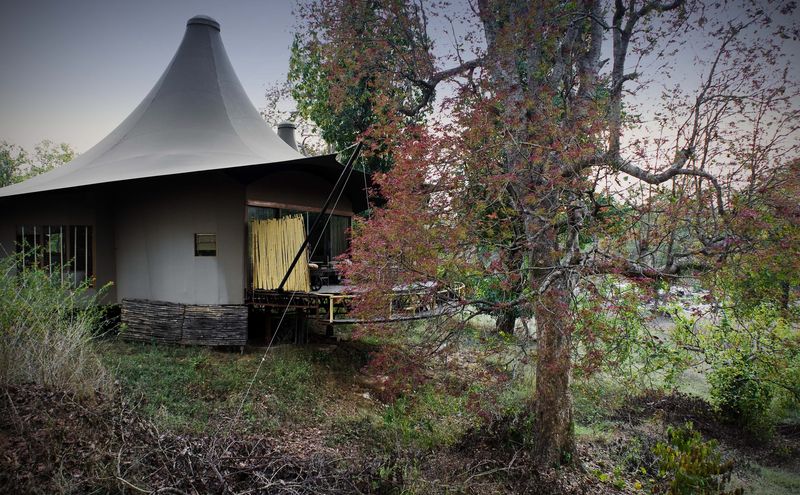Secluded forest surroundings