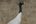a white and black bird standing on a rock