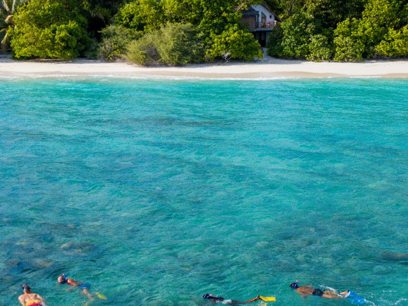Snorkel at Soneva Fushi